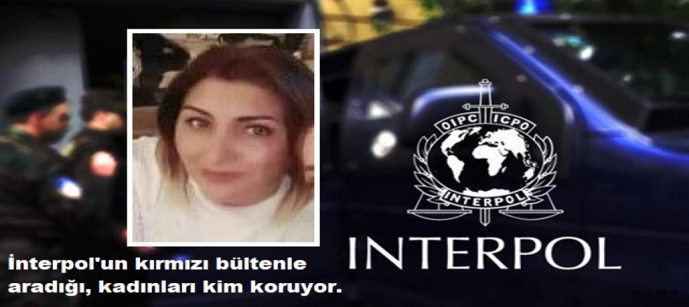 Yasa Dışı İşler: Şehriban Toptal’ın Faaliyetleri