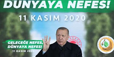 7 MİLYAR FİDAN TOPRAKLA BULUŞUCAK