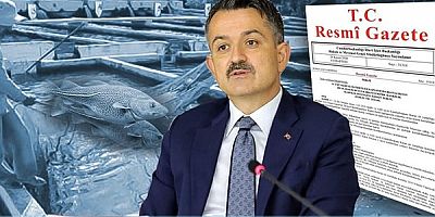 DAMIZLIK ALABALIĞA DESTEK DEVAM EDİYOR